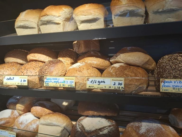 109564043 4534885046536767 4578472253638189449 n 768x576