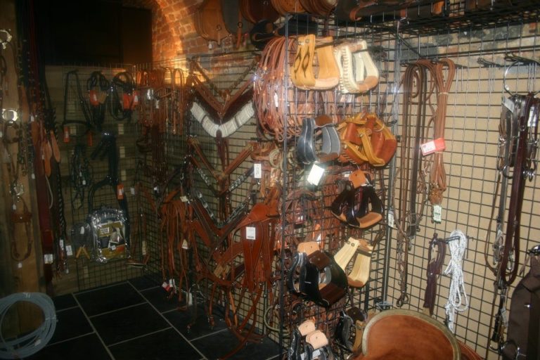 12096133 966438590095991 8832356071582628304 n 768x512