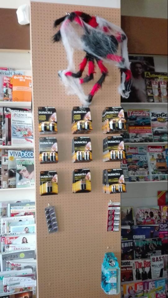 44453494 349147658996146 7907493747846283264 n