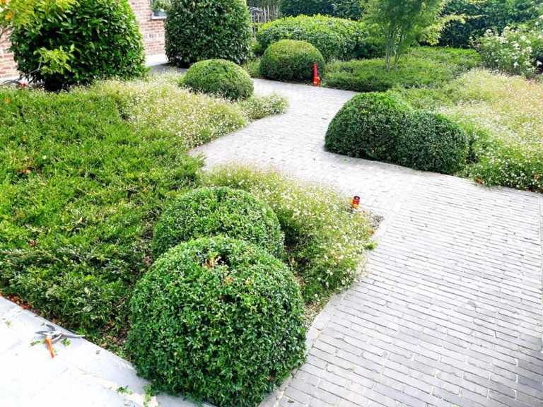 67821964 714817838979392 5069040842212114432 o 768x576