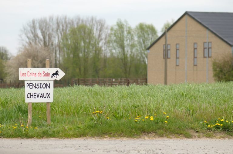 89040519 2581794478589224 7385916965279236096 o 1 768x510