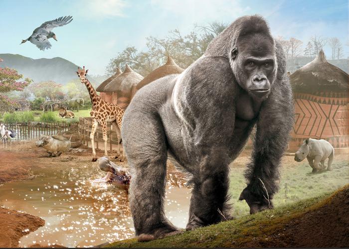 WORLD TERRE ORIGINES