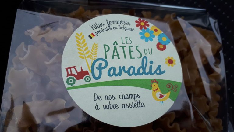 160431442 276603483853861 4180739536353905035 o 768x432